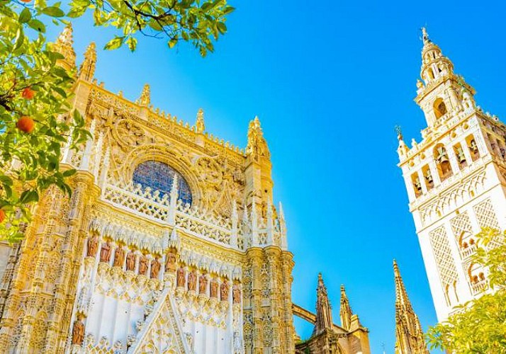 Visite guidée du palais de l'Alcázar et de la cathédrale de Séville - Billets coupe-file - En français