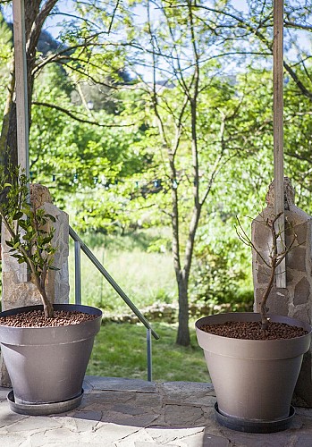 12 Terrasse ouverte escalier et citronniers