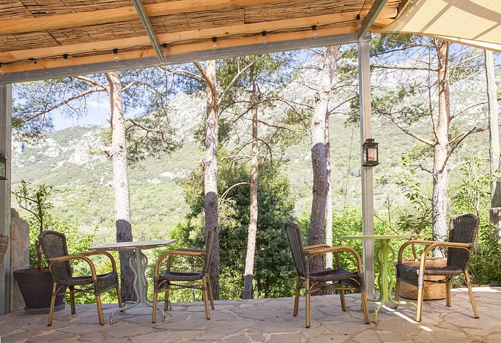 9 Terrasse ouverte vue sur Seranne