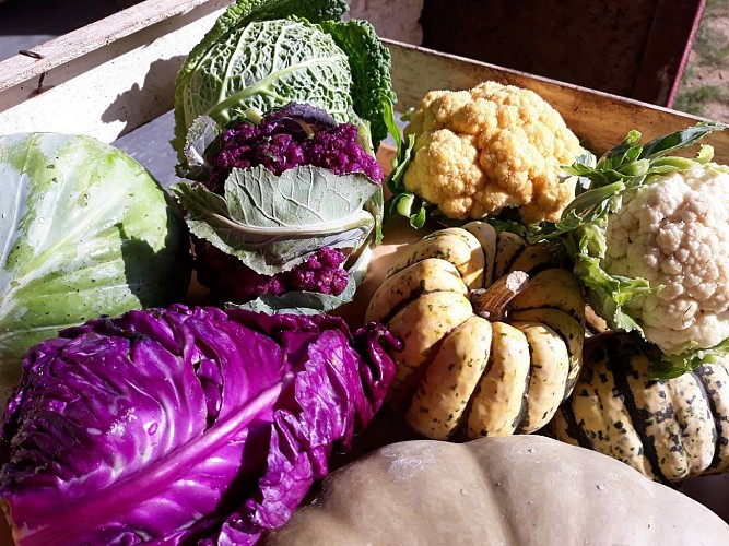 50075688_739596486421423_8773420881989861376_o