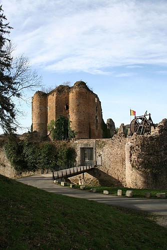 Château de Franchimont (Burg)