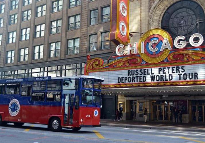 Guided Tour of Chicago's North Side by Minibus and Foot