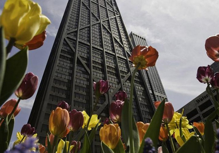 Guided Tour of Chicago's North Side by Minibus and Foot