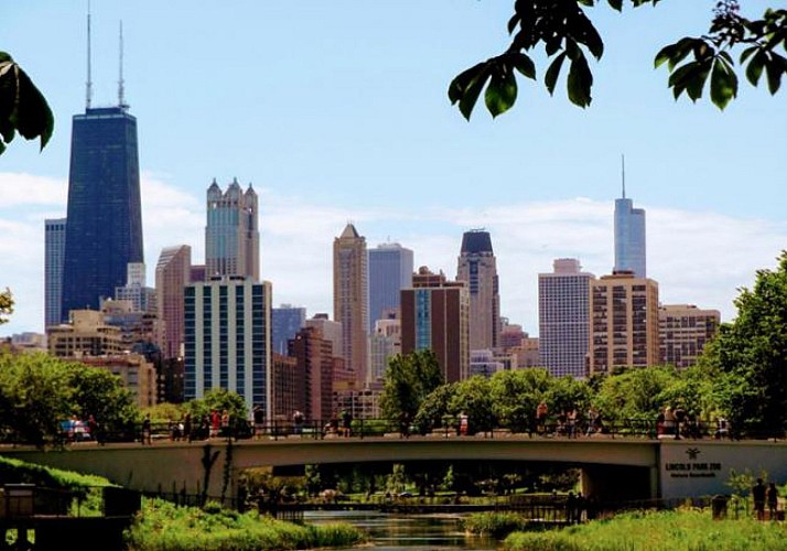 Guided Tour of Chicago's North Side by Minibus and Foot