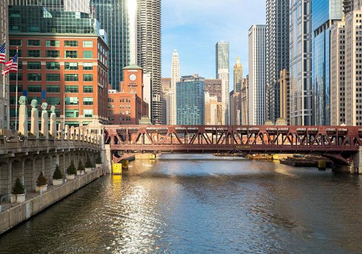 Visite guidée des quartiers Nord de Chicago en minibus et à pied