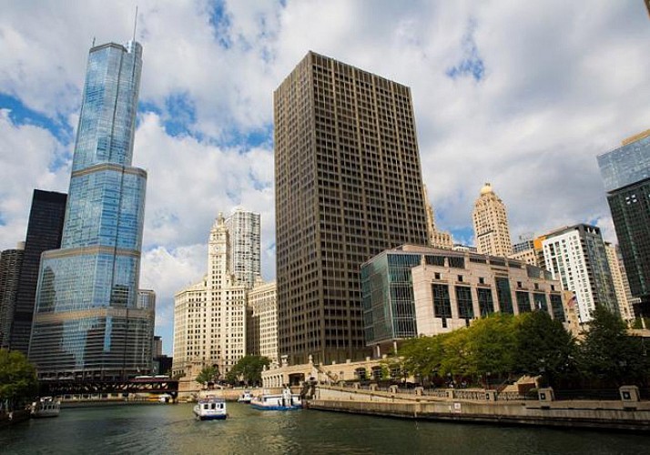 Guided Tour of Chicago by Minibus and by Foot – Full tour of the North and South Sides