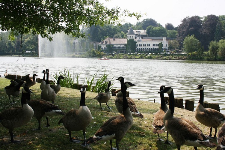 Une nuit au bord du lac