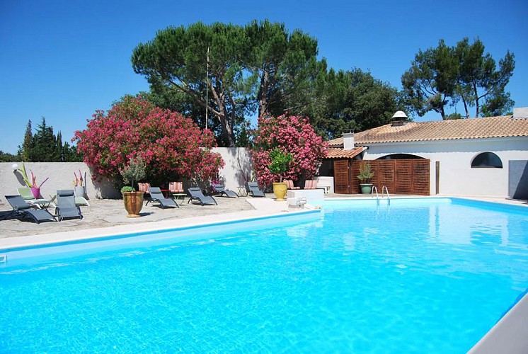 Hotel piscine Restaurant Nimes provence camargue 