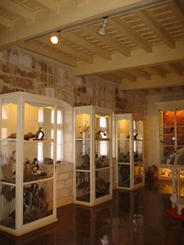 MUSEE DE LA MAISON ROMANE