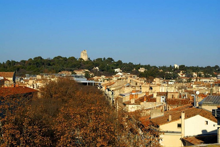 TOUR MAGNE - Panorama