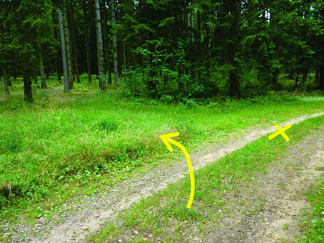 Petit sentier vers la gauche