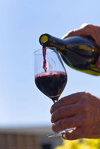 Domaine trahan vins viticulteur degustation cersay val en vignes Thouarsais