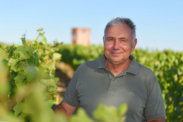 domaine du Belvedere (pw)3099