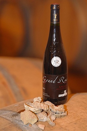 domaine du Belvedere (pw)3089