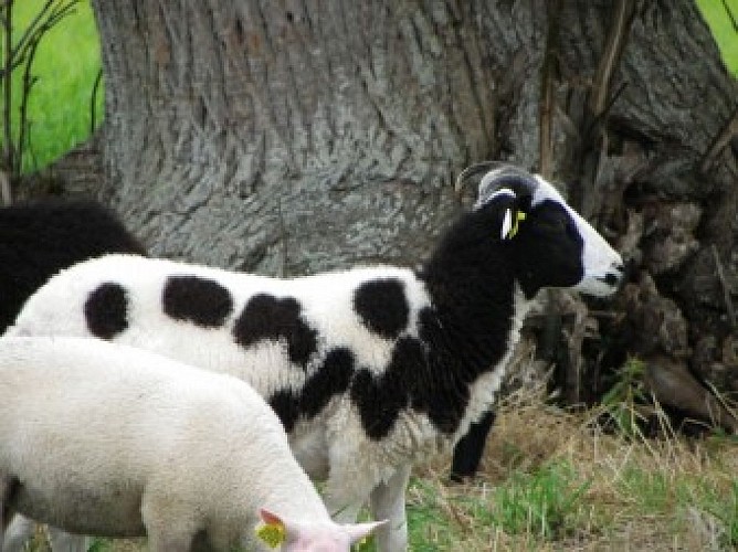 La Ferme de Châteauneuf2