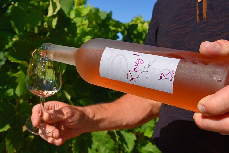 domaine de Rueau (pw)2686