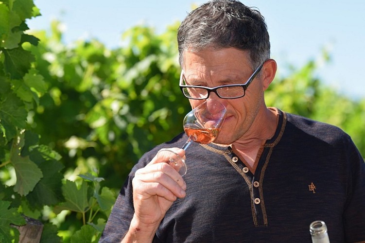 Domaine Rueau Viticulteur vins degustation cersay val en vignes Thouarsais