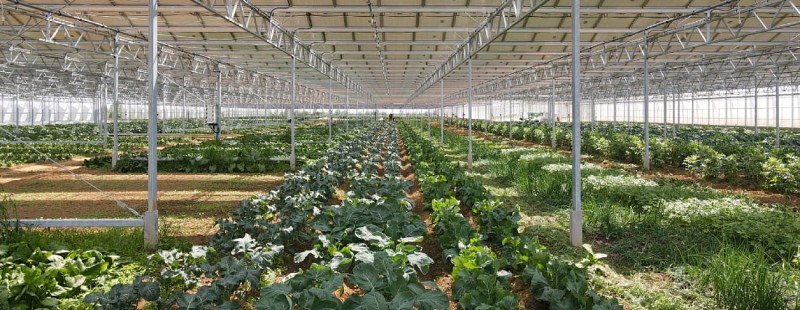 Design sans titre - 1