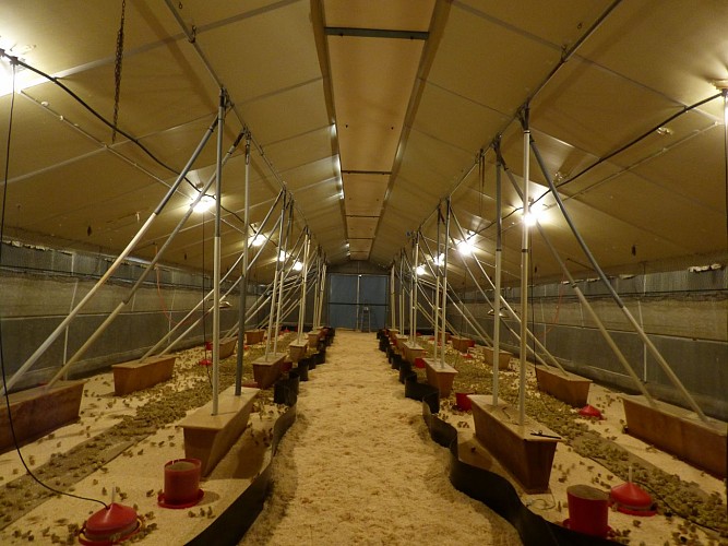 L'Elevage du Renard Rouge