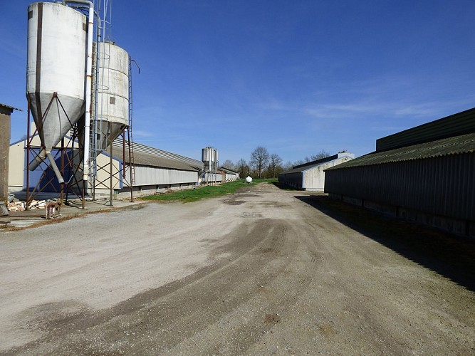 batiment de l'élevage.JPG_3