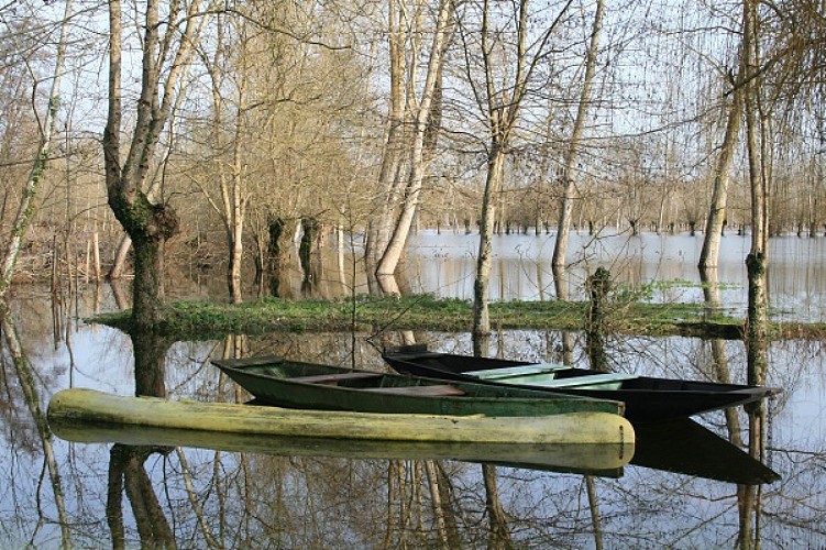 Le Marais Poitevin inondé