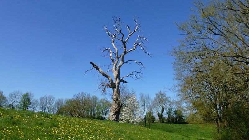 L'Eco-ferme de Fangorn