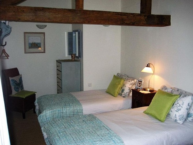 Chambres-d-hotes-Tomenson-Oiron-Plaine-et-Vallees-Thouarsais-Deux-Sevres-Nouvelle-Aquitaine--12-