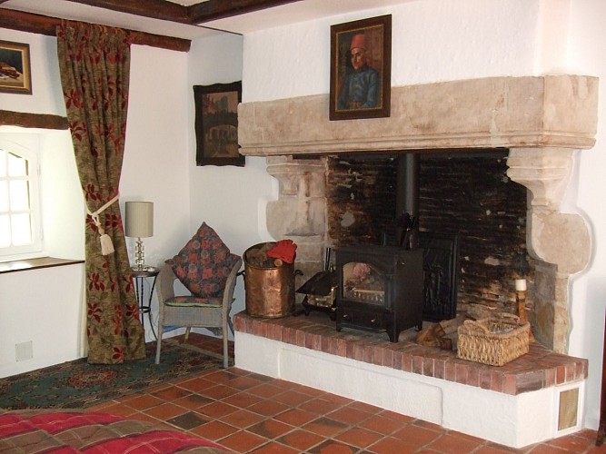 La Braudière cheminée.jpg_4