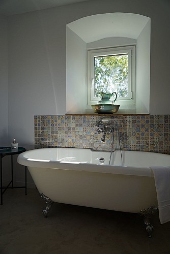 moutiers-sous-chantemerle-chambres-dhotes-bocage-de-la-belle-histoire-baignoire.jpg_7