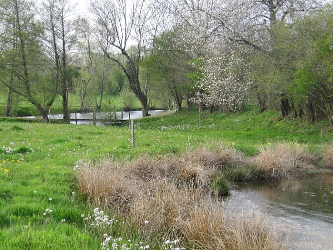 Aire nat Le Beugnon 3.jpg_2