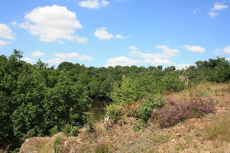Coteaux Hautibus 3