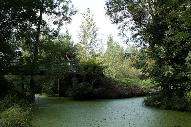 5. Une conche, voie d'eau du marais mouillé