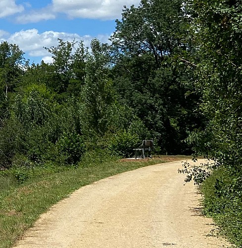 photo-grid-28-07-2022-09-06-58-2