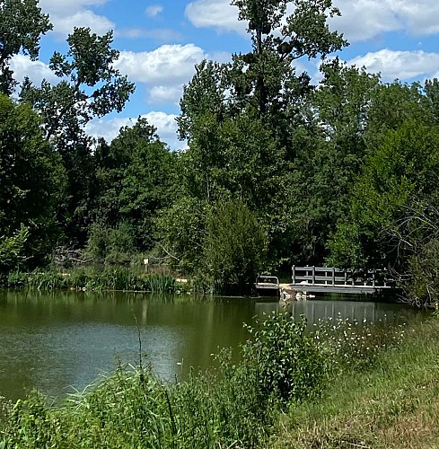 photo-grid-28-07-2022-09-06-58-1