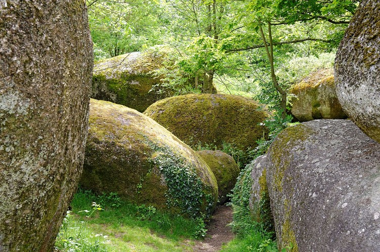 Jardin des Chirons - Rocher Branlant