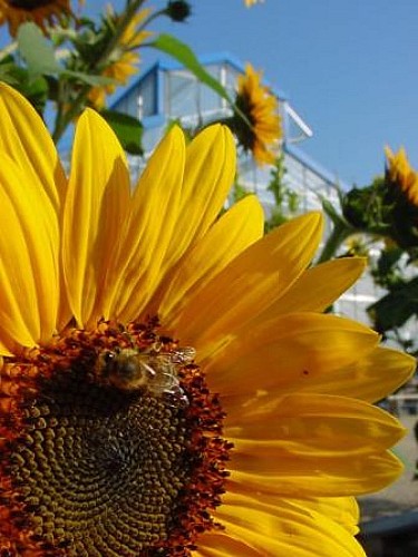 Jardin Val de Flore2BD.jpg_5