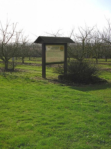 verger conservatoire 1.jpg_2