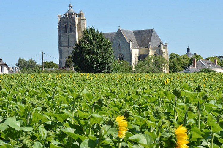 collégiale église saint maurice oiron patrimoine thouarsais Nouvelle Aquitaine.JPG_5