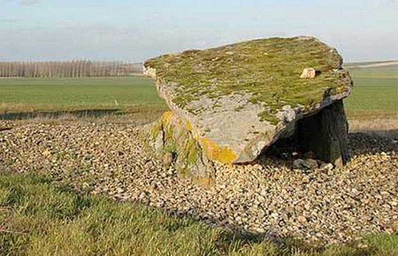 Dolmen megalithe patrimoine culturel puyravault St leger de montbrun Thouarsais