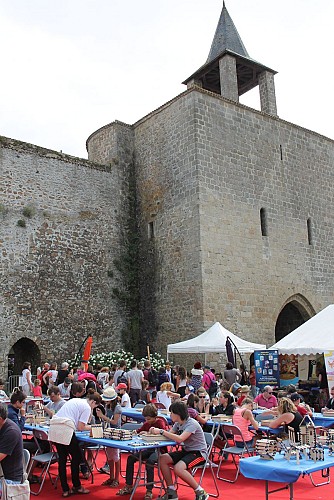 FLIP PORTE DE LA CITADELLE CCPG