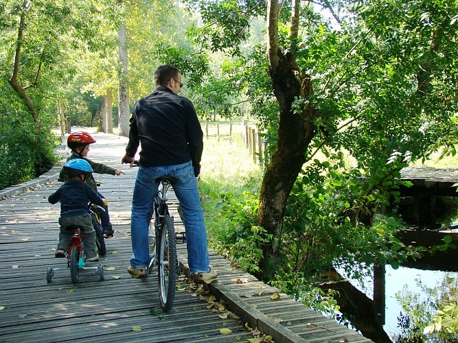 Un sentier de randonnée