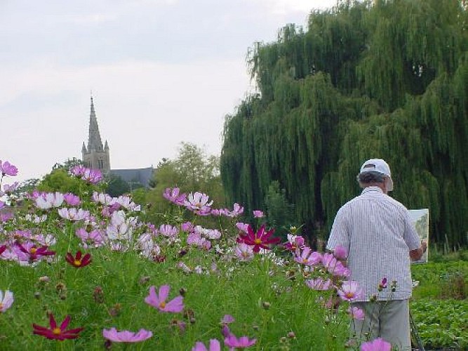Les jardins familiaux dits "mottes"