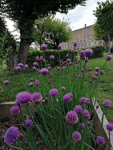 Jardin à insectes de l'Abbaye Royale de Celles-sur-Belle