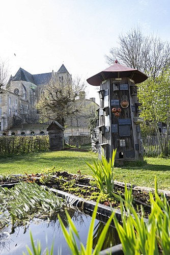 Jardin à insectes de l'Abbaye Royale de Celles-sur-Belle