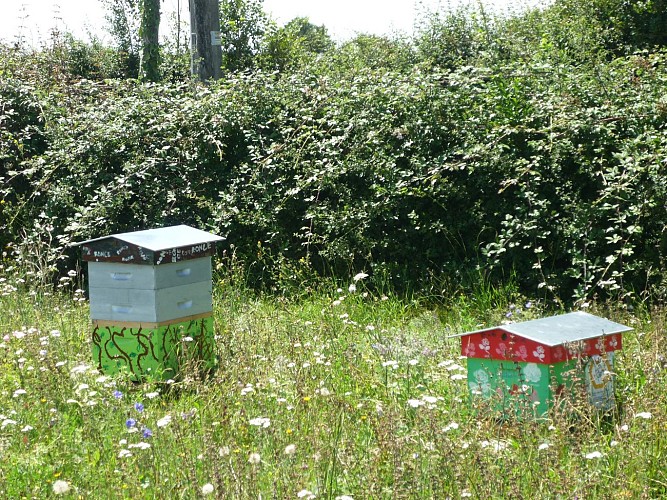 Le rucher pédagogique communal