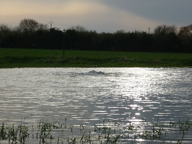 La Fosse de Paix (puits artésien)