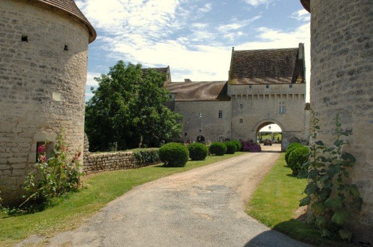 Chateau du Gazeau.jpg_2