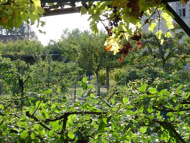 Jardin des Plantes Médicinales et Verger