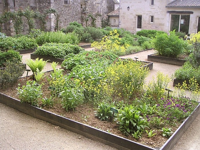 Jardin médicinal St Marc 2.jpg_2