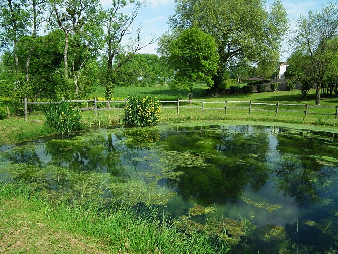 labsie-jardin-des-abies
